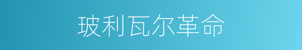 玻利瓦尔革命的同义词