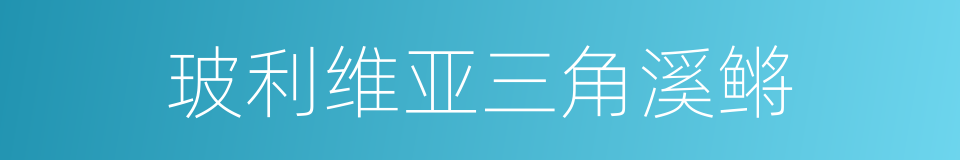 玻利维亚三角溪鳉的同义词