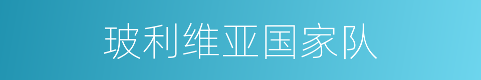 玻利维亚国家队的同义词