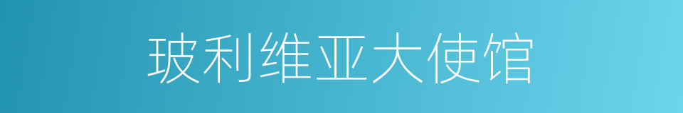 玻利维亚大使馆的同义词