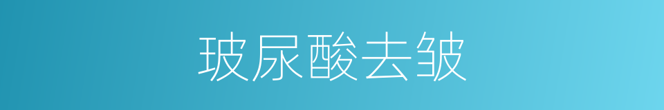 玻尿酸去皱的同义词