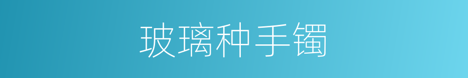 玻璃种手镯的同义词