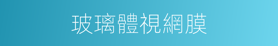 玻璃體視網膜的同義詞