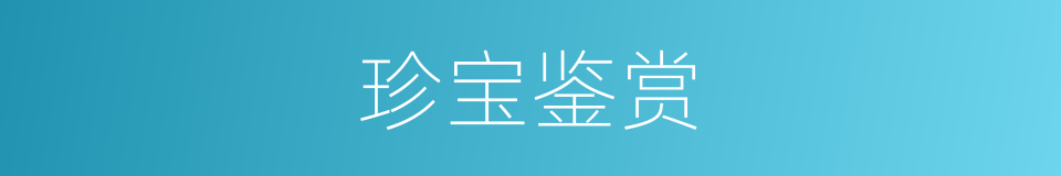 珍宝鉴赏的同义词