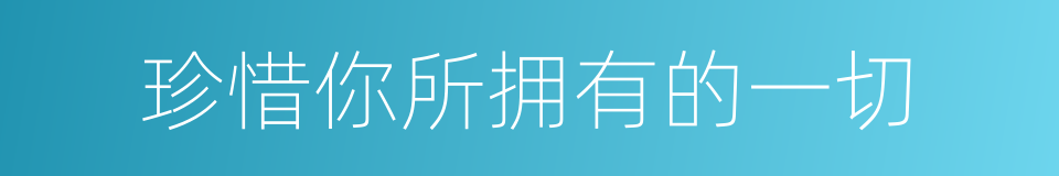 珍惜你所拥有的一切的同义词
