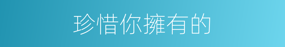 珍惜你擁有的的同義詞
