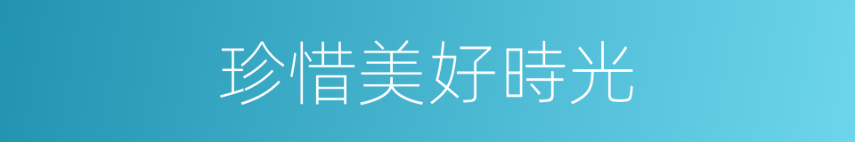 珍惜美好時光的同義詞