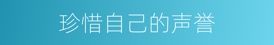 珍惜自己的声誉的同义词