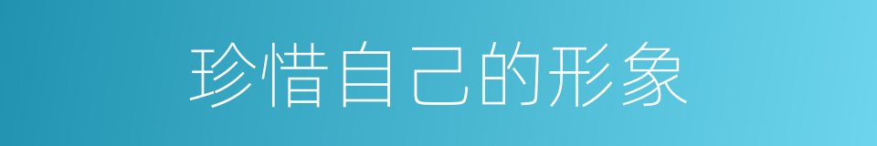 珍惜自己的形象的同义词