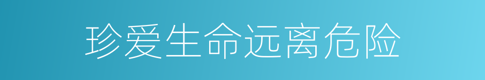 珍爱生命远离危险的同义词