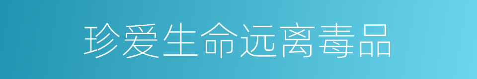 珍爱生命远离毒品的同义词
