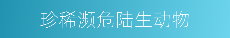 珍稀濒危陆生动物的同义词