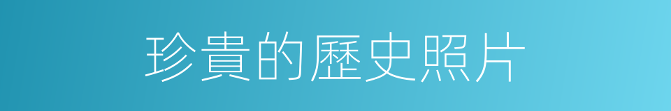珍貴的歷史照片的同義詞