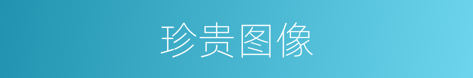 珍贵图像的同义词
