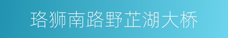珞狮南路野芷湖大桥的同义词