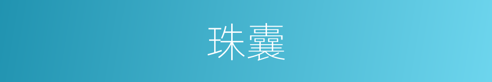珠囊的意思