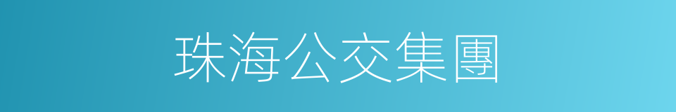 珠海公交集團的同義詞