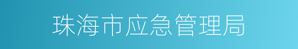 珠海市应急管理局的同义词