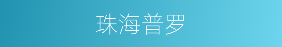珠海普罗的同义词