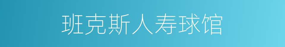 班克斯人寿球馆的同义词