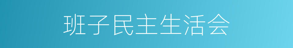 班子民主生活会的同义词