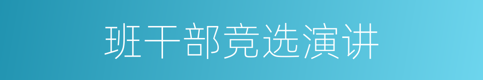 班干部竞选演讲的同义词