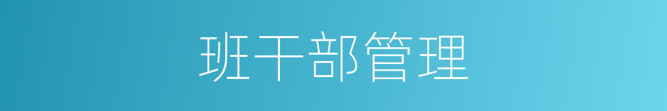 班干部管理的同义词