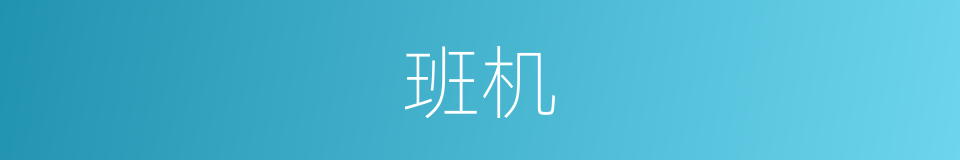 班机的意思