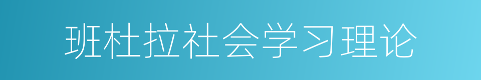 班杜拉社会学习理论的同义词