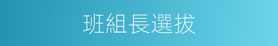 班組長選拔的同義詞