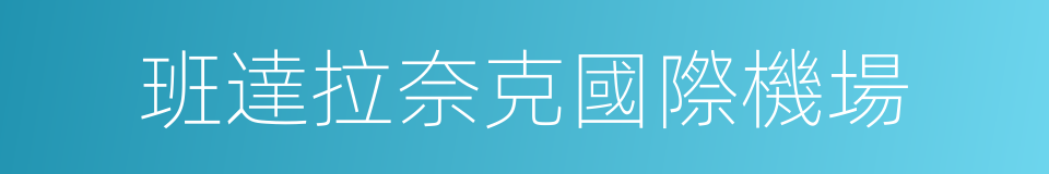 班達拉奈克國際機場的意思