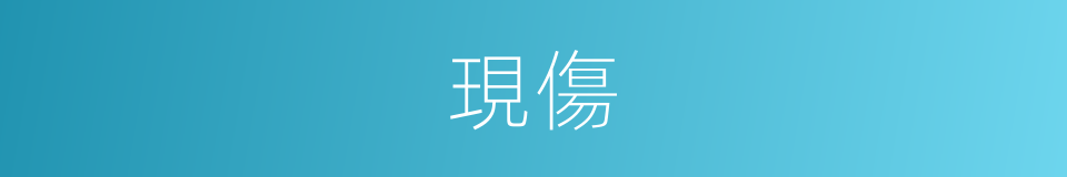 現傷的同義詞
