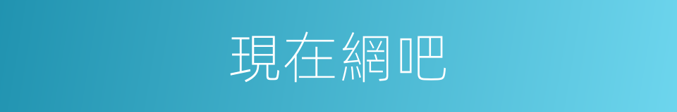 現在網吧的意思