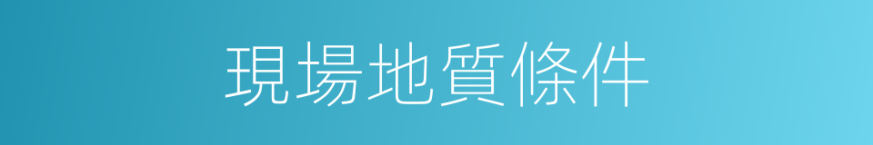 現場地質條件的同義詞