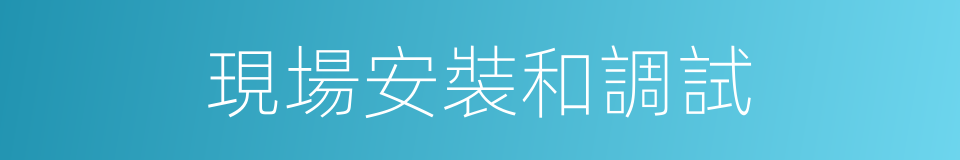 現場安裝和調試的同義詞