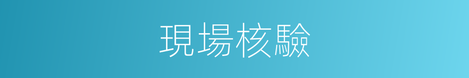 現場核驗的同義詞