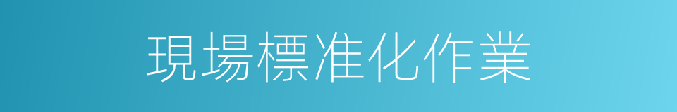 現場標准化作業的同義詞