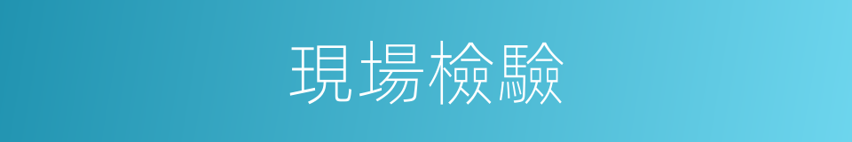 現場檢驗的同義詞