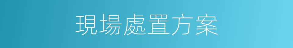 現場處置方案的同義詞