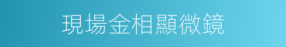 現場金相顯微鏡的同義詞