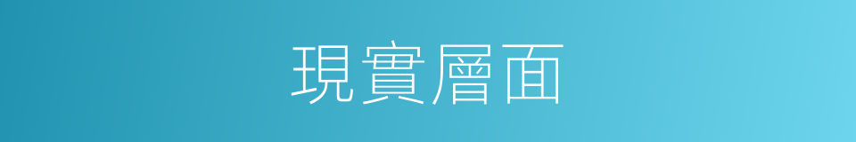 現實層面的同義詞