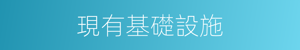 現有基礎設施的同義詞