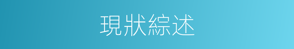 現狀綜述的同義詞
