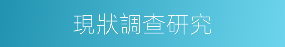 現狀調查研究的同義詞