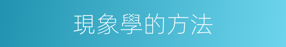 現象學的方法的同義詞