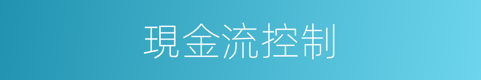 現金流控制的同義詞
