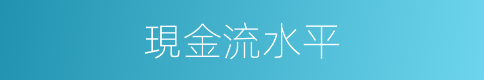 現金流水平的同義詞