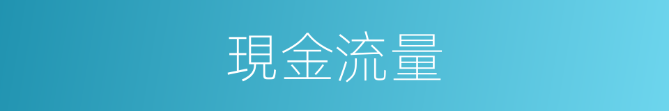 現金流量的意思