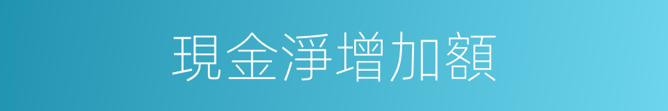 現金淨增加額的同義詞