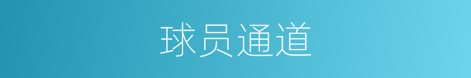 球员通道的同义词